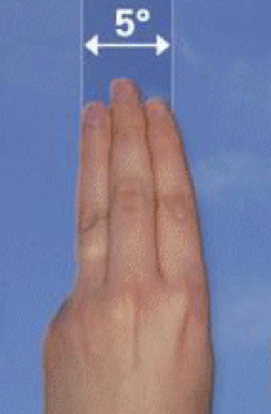 Placeholder Image 2